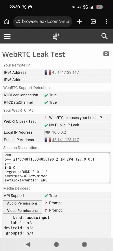 NordVPN App Test 2026 - Browserleaks Test
